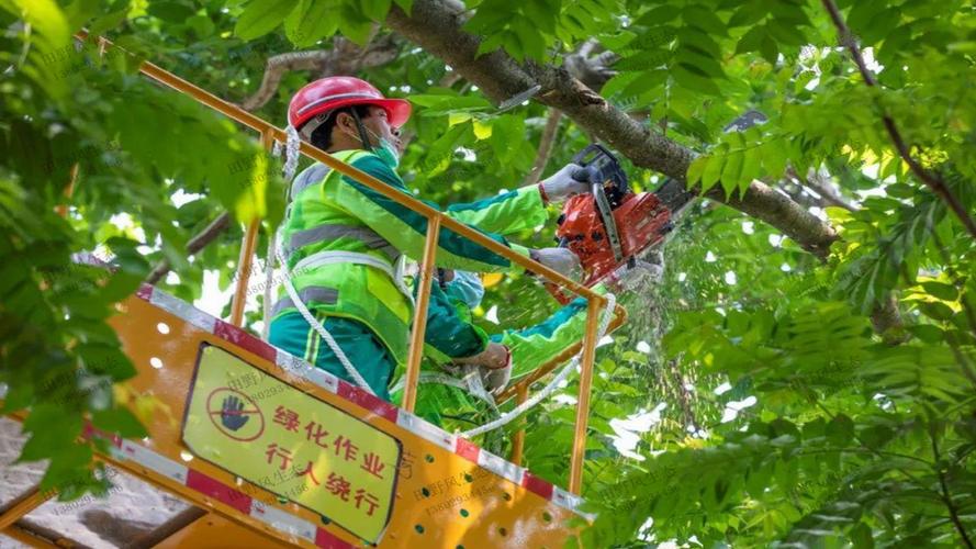 面临日益严峻的压力：研究市政园林管理的问题与对策